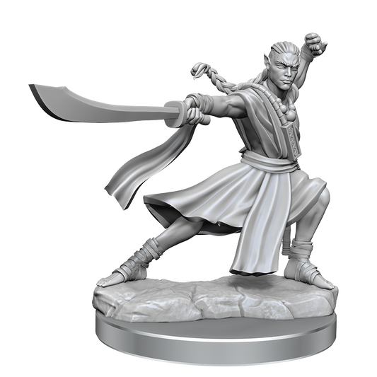 D&D Frameworks Elf Monk Male