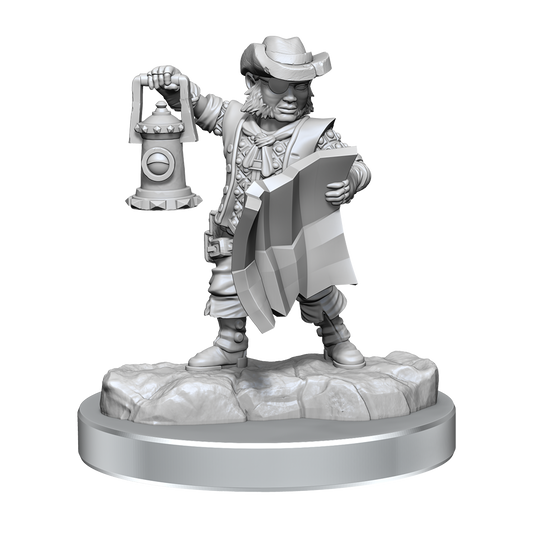 D&D Frameworks Halfling Rogue Male