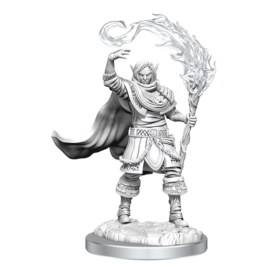 D&D Nolzurs Marvelous Unpainted Miniatures Elf Cleric Male