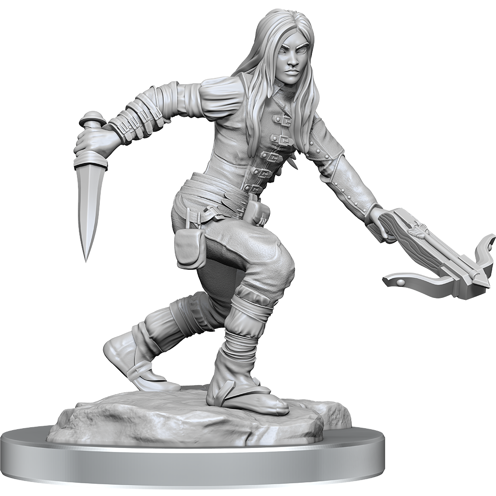 D&D Nolzurs Marvelous Unpainted Miniatures Half-Elf Rogue Female