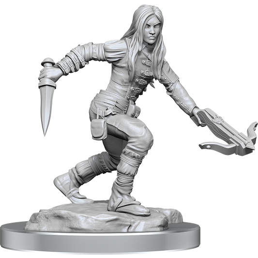 D&D Nolzurs Marvelous Unpainted Miniatures Half-Elf Rogue Female