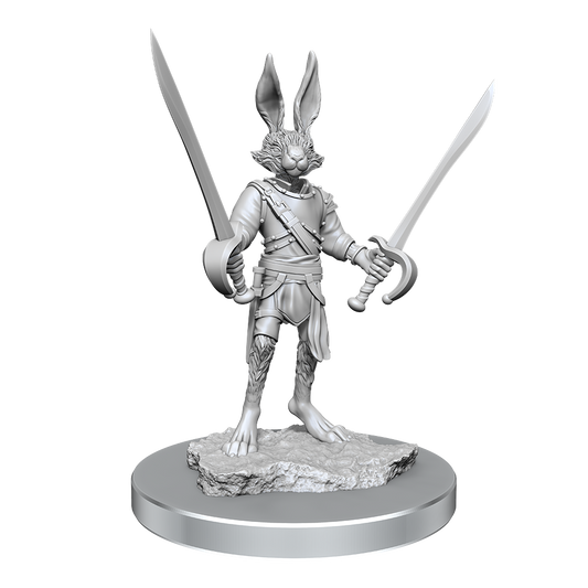 D&D Nolzurs Marvelous Unpainted Miniatures Harengon Rogues