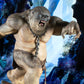 The Lord of the Rings - Cave Troll Deluxe Gallery PVC Diorama Statue