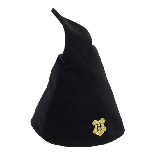 Harry Potter - Hogwarts Student Hat