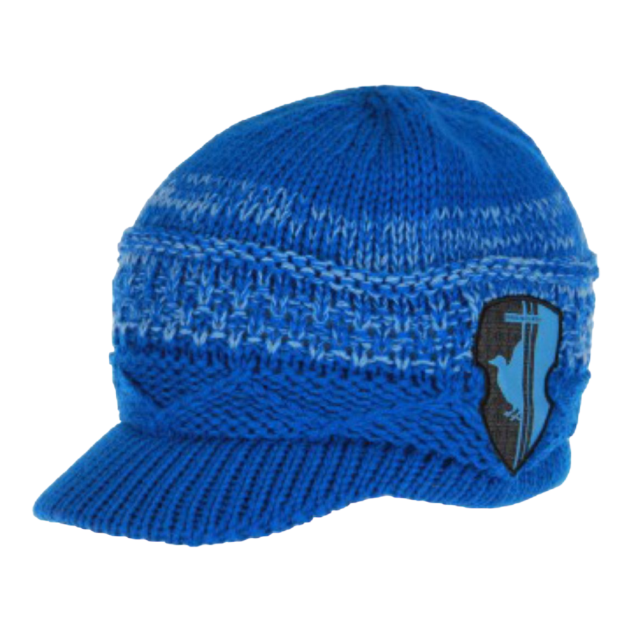 Harry Potter - Ravenclaw Knit Brim Cap