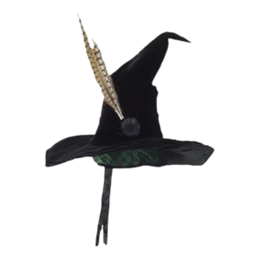 Harry Potter - Professor McGonagall Hat