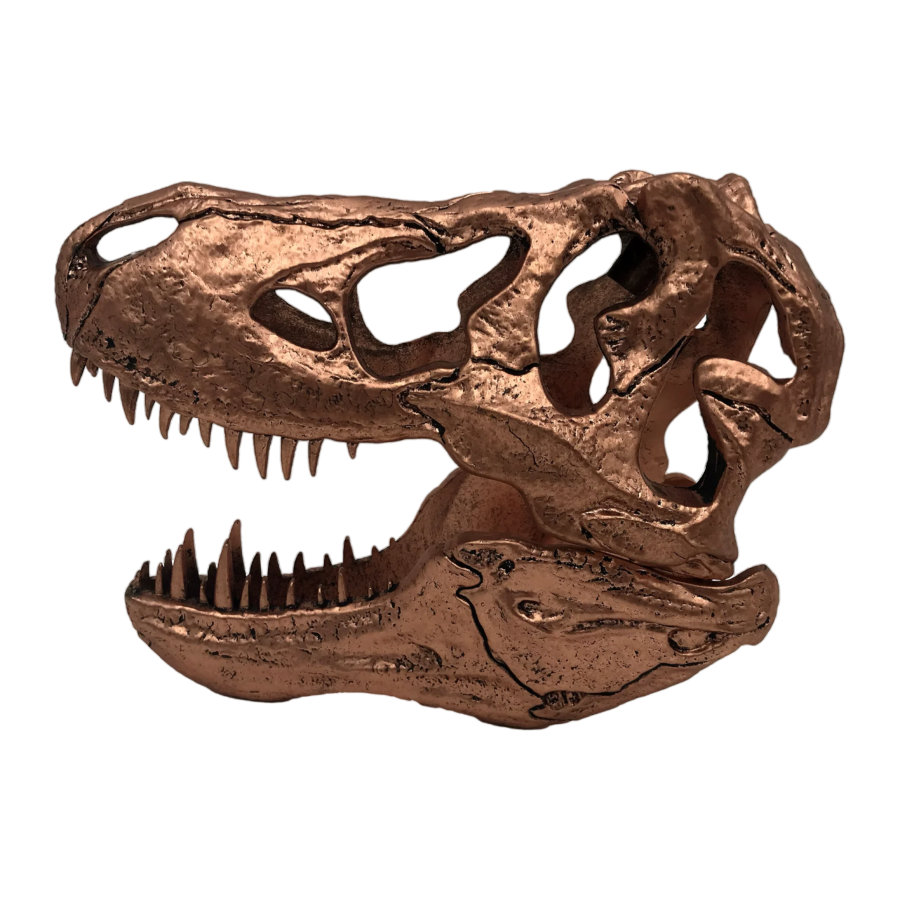 Jurassic Park - T-Rex Skull Scaled Prop Replica