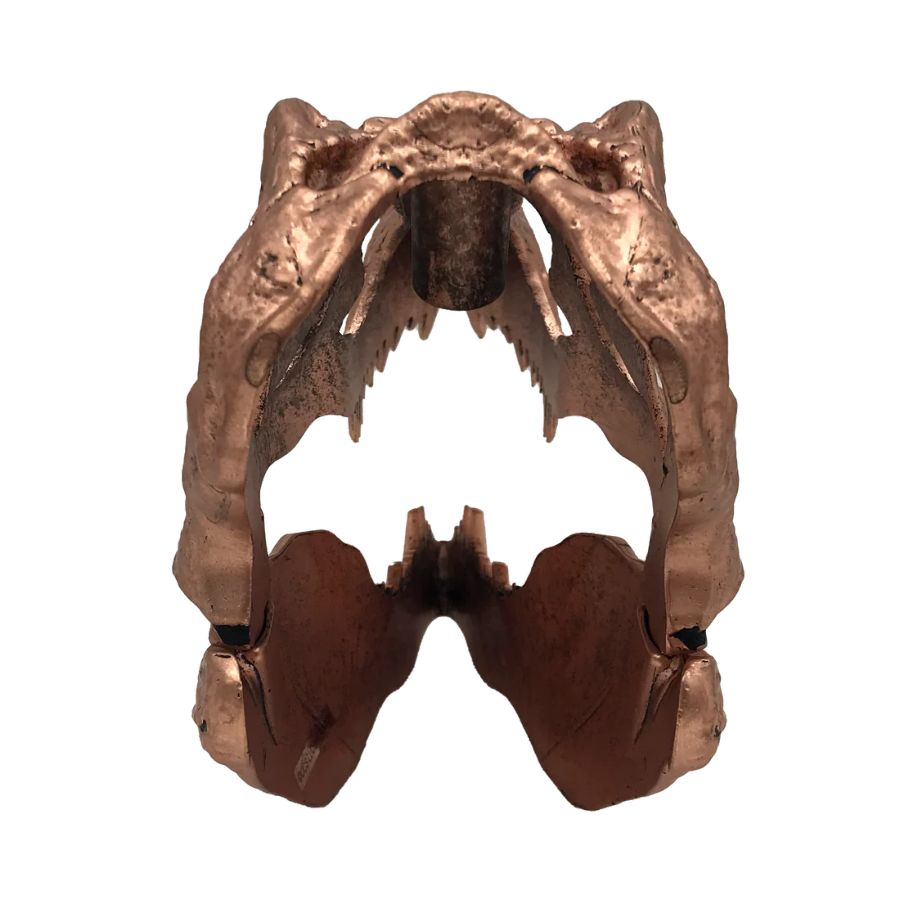 Jurassic Park - T-Rex Skull Scaled Prop Replica