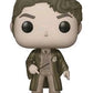 Harry Potter - Tom Riddle Sepia US Exclusive Pop! Vinyl - Ozzie Collectables