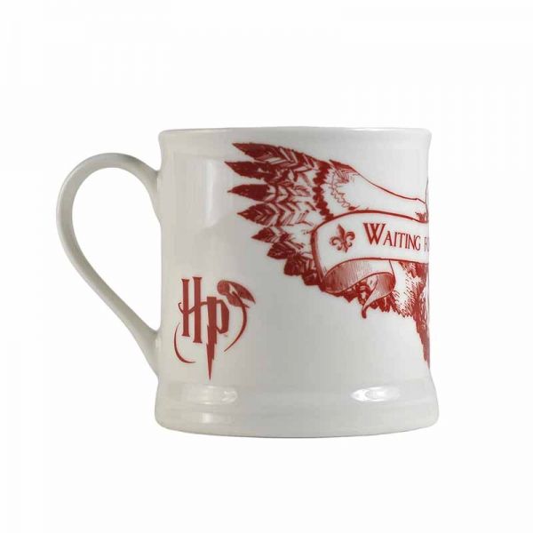 Harry Potter - Waiting for my Letter Boxed Vintage Mug - Ozzie Collectables