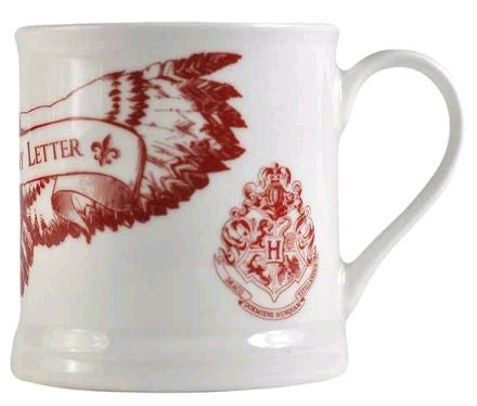 Harry Potter - Waiting for my Letter Boxed Vintage Mug - Ozzie Collectables