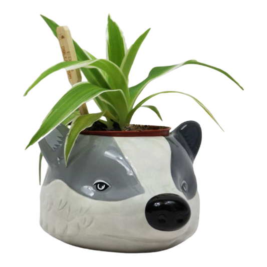 harry potter planter pot Harry Potter