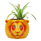 Harry Potter - Gryffindor Plant Pot