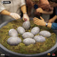 Jurassic Park - Dino Hatchling Deluxe 1:10 Statue