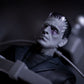 Universal Monsters - Frankenstein Deluxe Box Set