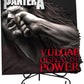 Pantera - Vulgar Display of Power 3D Vinyl Statue