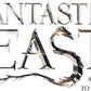 Fantastic Beasts and Where to Find Them - Pickett Bowtruckle Pin & Necklace - Ozzie Collectables