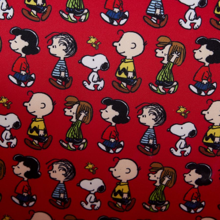 Peanuts - Charlie Brown Lunchbox Crossbody