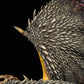 Monster Hunter World - Nergigante Statue