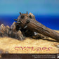 The 7th Voyage of Sinbad - Cyclops Deluxe Statue