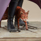 Critical Role - Caleb Widogast (Mighty Nein) Statue