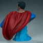 DC Comics - Superman Bust