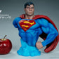Superman - Superman Bust - Ozzie Collectables