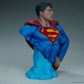 Superman - Superman Bust - Ozzie Collectables