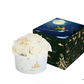 Disney Floral Bouquet Diffuser Peter Pan