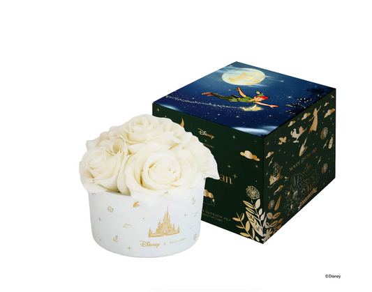 Disney Floral Bouquet Diffuser Peter Pan