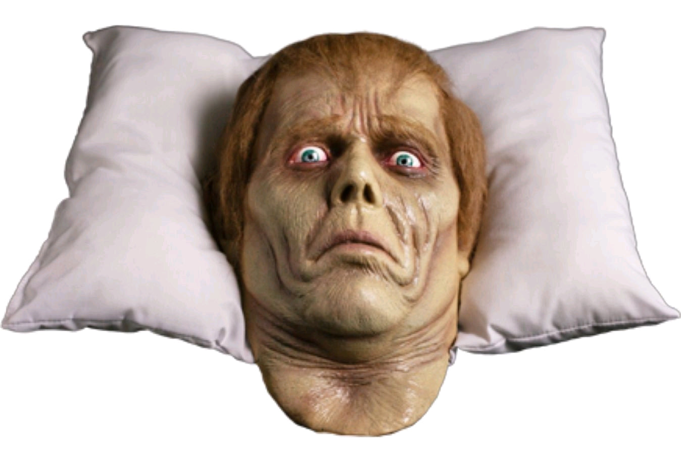 Dawn of the Dead - Roger Pillow Pal - Ozzie Collectables