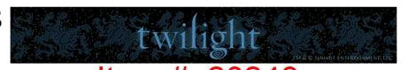 Twilight - Jewellery Slap Bracelet Logo - Ozzie Collectables