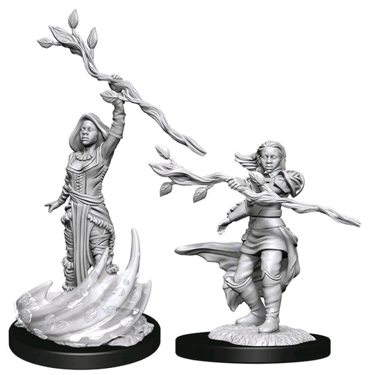 Dungeons & Dragons - Nolzur's Marvelous Unpainted Miniatures: Human Druid Female