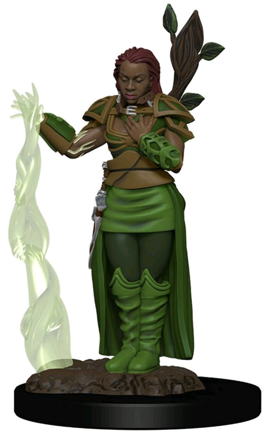 Dungeons & Dragons - Premium Human Female Druid Miniature - Ozzie Collectables