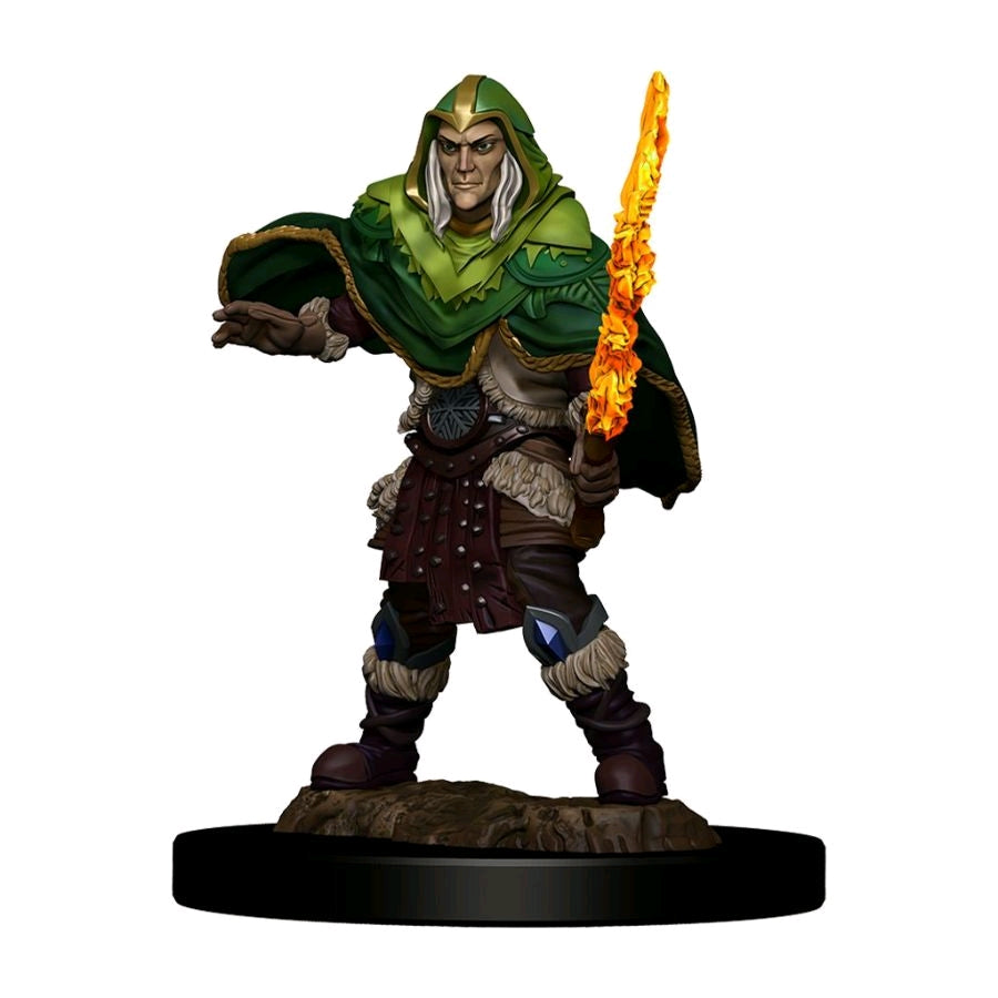 Dungeons & Dragons - Icons of the Realms Premium Elf Fighter Male