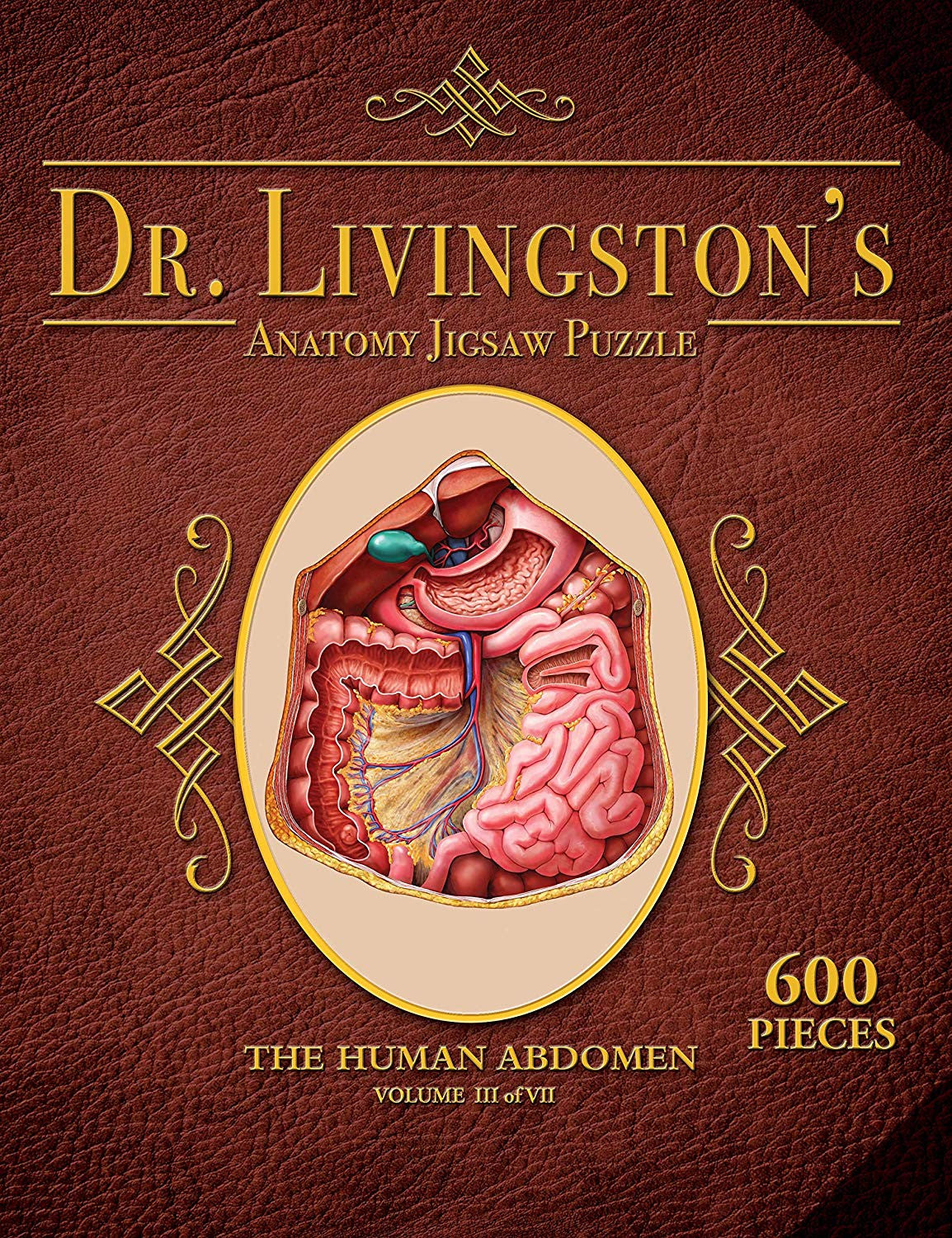 Dr. Livingston's Anatomy the Human Abdomen Puzzle 600 pieces