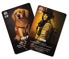 Flashpoint Veteran and Rescue Dog