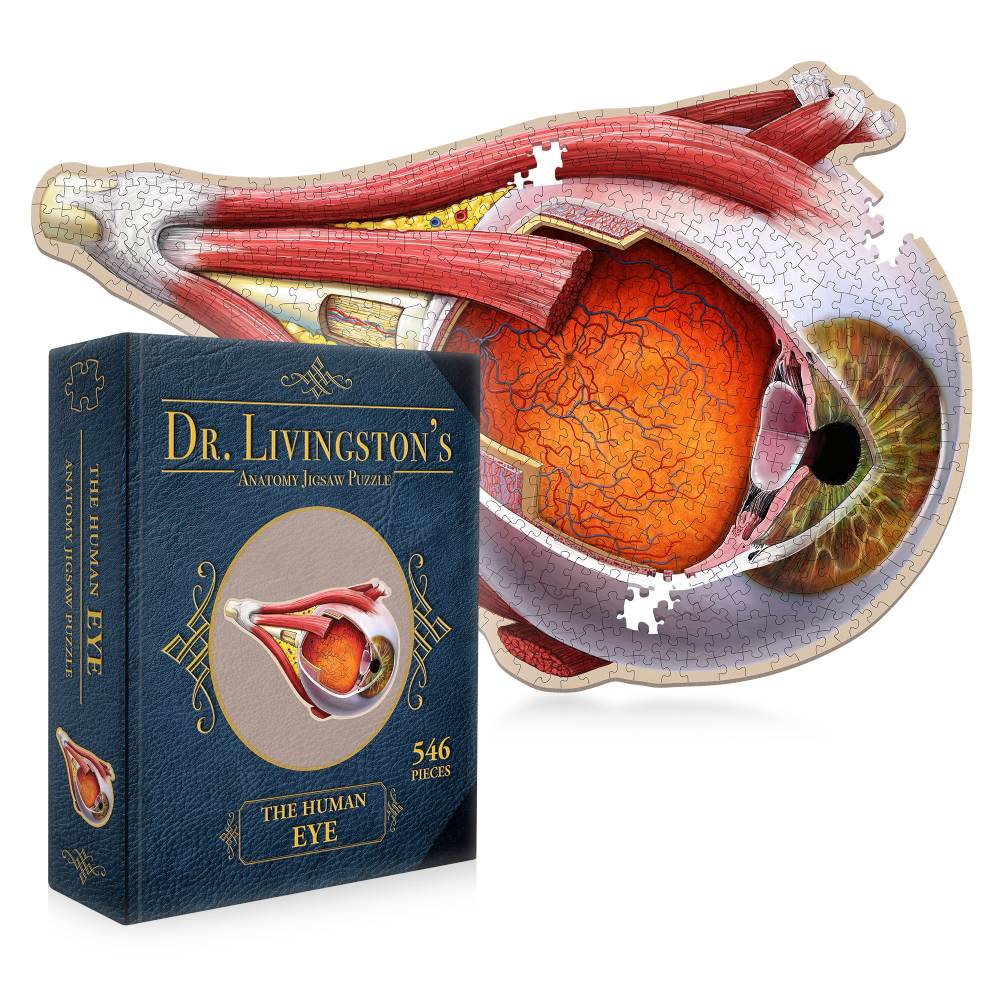 Dr. Livingston's Anatomy Jigsaw Puzzle: The Human Eye